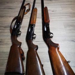 IMG_20181025_183455_resized_20181025_065908188_900x1200